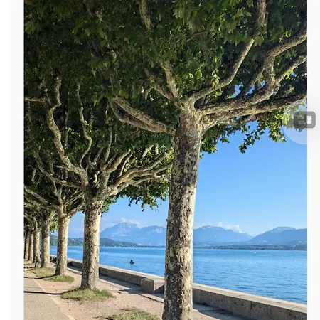 Appartement T1 Bis, 33m2, Rénové En Août 2026 Aix-les-Bains