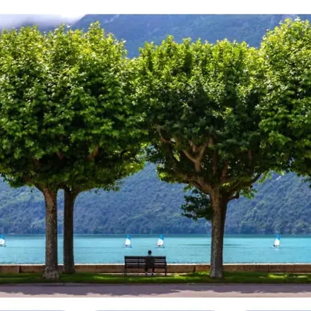 T1 Bis, 33m2, Rénové En Août 2026 * Aix-les-Bains